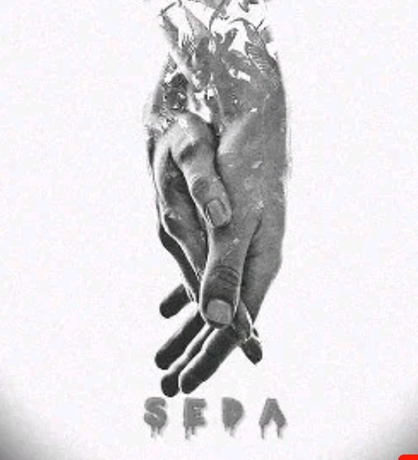 Seedo's - Seda